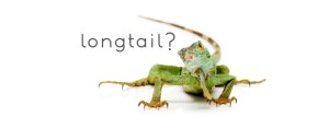 Long-tail Keywords